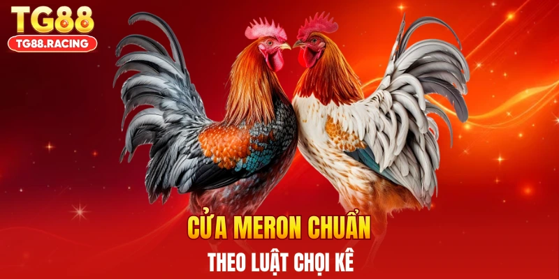 Cửa Meron chuẩn theo luật chọi kê